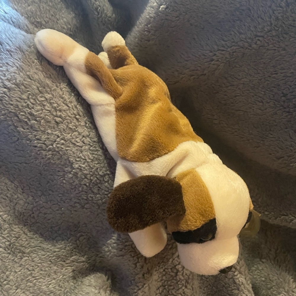 “Bernie” Ty beanie baby.
